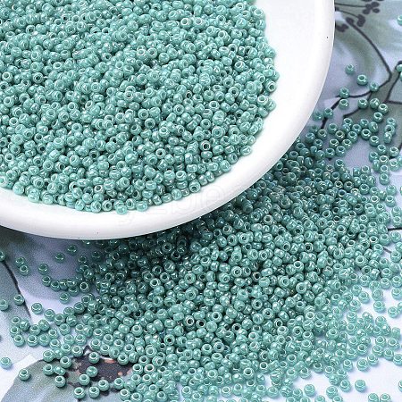 MIYUKI Round Rocailles Beads SEED-G007-RR0481-1