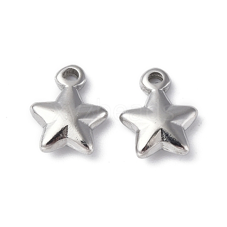 Non-Tarnish 304 Stainless Steel Charms X-STAS-C066-19P-1