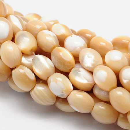 Natural Sea Shell Barrel Bead Strands SSHEL-M014-04-1