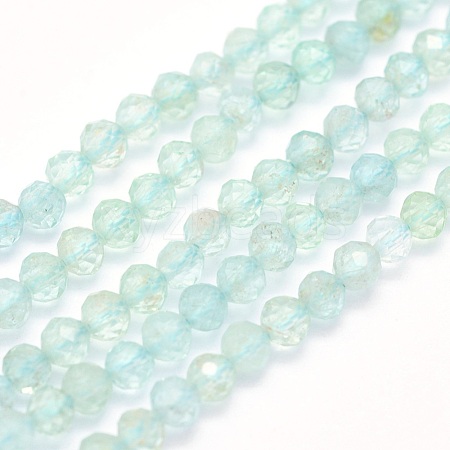 Natural Apatite Beads Strands G-O166-30-2.5mm-1