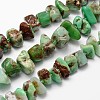 Natural Serpentine Bead Strands G-H044-07-1
