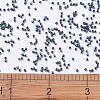MIYUKI Delica Beads Small SEED-JP0008-DBS0325-4