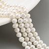 Natural Cultured Freshwater Pearl Beads Strands PEAR-C003-10B-2