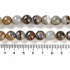 Natural Agate Beads Strands G-M437-B01-01M-5