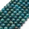 Natural Apatite Beads Strands G-F475-06-8mm-1