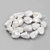 Shell Pearl Beads Strands BSHE-K010-08A-1