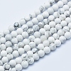 Natural Howlite Beads Strands X-G-P353-01-6mm-1
