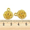 Alloy Pendants FIND-G065-14G-3