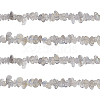Natural Labradorite Bead Strands G-GL0001-03-1