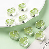 Transparent Enamel Acrylic Beads TACR-S155-004D-6