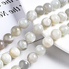 Natural White Moonstone Beads Strands G-N328-51C-01-4