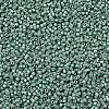 MIYUKI Delica Beads SEED-MY11-DB1171-3