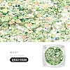 Nail Art Glitter Sequins AJEW-Q033-003B-2