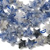 Natural Blue Spot Jasper Beads Strands G-F817-A12-01-5