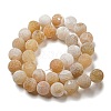 Natural Weathered Agate Beads Strands G-P538-A01-03-3