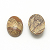 Natural Picture Jasper Cabochons G-R415-14x10-42-2