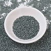 MIYUKI Delica Beads SEED-X0054-DB0697-2