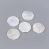 Freshwater Shell Cabochons SHEL-Q008-38-1