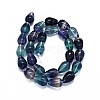 Natural Fluorite Beads Strands G-O170-176-2