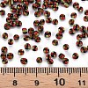 8/0 Glass Seed Beads SEED-S006-25-4