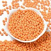 Baking Paint Luster Glass Seed Beads SEED-B001-04A-10-2
