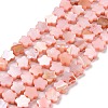 Natural Freshwater Shell Beads Strands SHEL-H002-03D-1