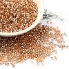 Glass Seed Beads SEED-S042-04B-17-1