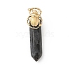 Insect Natural Labradorite Pointed Pendants G-I333-02D-1