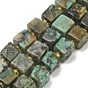 Natural African Turquoise(Jasper) Beads Strands G-G053-B19-03-1