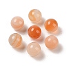 Natural Red Agate No Hole Sphere Beads G-K353-04B-31-1