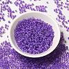 12/0 Transparent Glass Seed Beads X-SEED-F003-03C-09-2