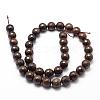 Natural Bronzite Beads Strands G-D840-18-10mm-2