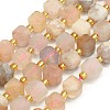 Natural Cherry Blossom Agate  Beads Strands G-I376-D37-01-1