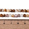 Natural Wood Lace Stone Wooden Jasper Beads Strands G-B128-A04-01-5