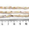 Natural Freshwater Shell Beads Strands SSHEL-B002-17-4