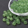 Transparent Acrylic Beads LS-PL582-C67-2
