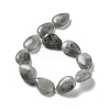 Natural Labradorite Beads Strands G-P528-L03-01-3
