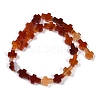 Natural Red Agate Beads Strands G-I369-A20-02-4