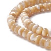 Natural Trochid Shell/Trochus Shell Beads Strands SSHEL-O001-24A-01-2