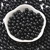 Baking Paint Glass Seed Beads SEED-H003-02E-2