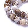 Natural America Petrified Wood Beads Strands G-P430-08-C-3
