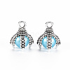 Tibetan Style Alloy Charms PALLOY-S120-249A-RS-2