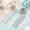   2Rolls 2 Colors Gemstone Chips Iron On Applique Metal Chain Sewing Accessories DIY-PH0002-24-5