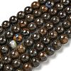 Natural Boulder Opal Beads Strands G-P544-A01-01-1