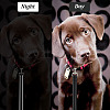 Adjustable Reflective Polyester Pet Leashes AJEW-WH0314-194-4