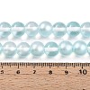 Baking Paint Transparent Glass Beads Strands DGLA-N011-10mm-05-4