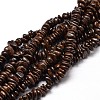 Natural Bronzite Chip Beads Strands G-E271-127-1