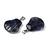 Natural Sodalite Pendants G-T138-208J-2