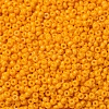 MIYUKI Round Rocailles Beads X-SEED-G007-RR4453-3