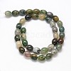 Oval Natural Indian Agate Bead Strands G-P106-14-2